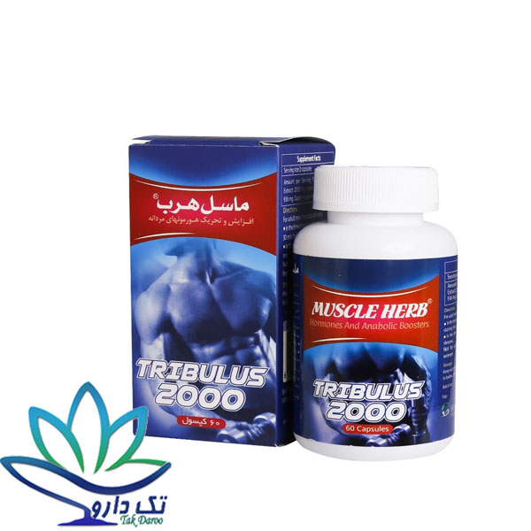 کپسول تریبولوس ماسل هرب بهتا دارو افزایش هورمون های مردانه 60 عدد