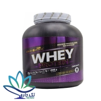 وی پروتئین گلدن ماسل 2000 گرمی